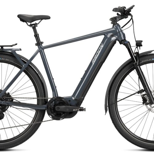 Radon RELATE 7.0 625